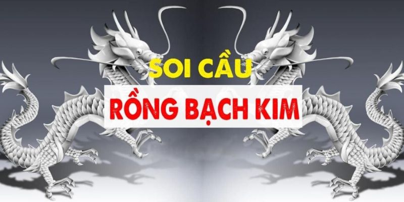 Tìm hiểu soicau rồng bạch kim là gì?