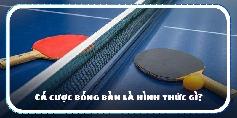 Cá cược bóng bàn là hình thức gì?