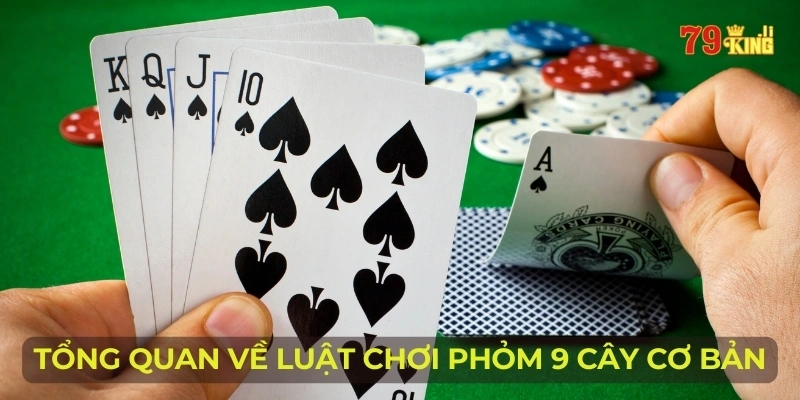 Tổng quan về luật chơi phỏm 9 cây cơ bản nhất